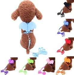 XxiaoTHAWxe Pet Leash Traction Rope, Cute Solid Color Mini Wings Nylon Pet Harness Chest Strap Dog Cat Lead Leash For Walking Training Running - Coffee XS -Zoo Shop 51 SEPVsGrL. AC 3