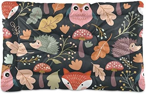 Dog Bed Cartoon Healthy Food Nuts Crate Pad Mat 24''x18'' Washable Pet Bed Cat Beds Soft Dog Mattress- Anti-Slip Kennel Pad Luxury Color 8 Dog Bed Cartoon Healthy Food Nuts Crate Pad Mat 24''x18'' Washable Pet Bed Cat Beds Soft Dog Mattress- Anti-Slip Kennel Pad Luxury Color - Image 6