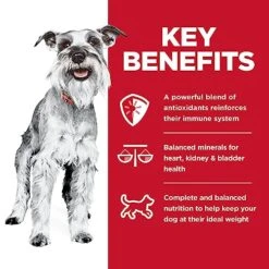 Hill's Science Diet Dry Dog Food, Adult 7+ For Senior Dogs, Small Paws For Small Breeds, Chicken Meal, Barley & Brown Rice Recipe, 4.5 Lb. Bag 13 Hill's Science Diet Dry Dog Food, Adult 7+ For Senior Dogs, Small Paws For Small Breeds, Chicken Meal, Barley & Brown Rice Recipe, 4.5 Lb. Bag -Zoo Shop 510CqQQRRoL