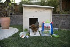 New Age Pet 7 Piece Chicken Accessory Kit 9 New Age Pet 7 Piece Chicken Accessory Kit -Zoo Shop 510IeCHFbUL