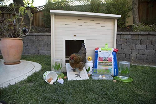 New Age Pet 7 Piece Chicken Accessory Kit 5 New Age Pet 7 Piece Chicken Accessory Kit - Image 3