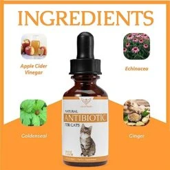 Natural Antibiotics For Cats - Cat Antibiotics - Cat Antibiotic - Pet Antibiotics - Cat Immune Support - Antibiotic For Cats - Cat Multivitamin - Cat UTI Antibiotics - 1 Fl Oz: Maple Flavor -Zoo Shop 510NOPb4W1L