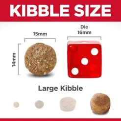 Hill's Science Diet Dry Dog Food, Large Breed Adult 6+ Senior, Chicken, Barley & Rice Recipe, 33 Lb. Bag -Zoo Shop 510R56IV2QL