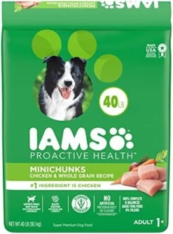 IAMS Adult Minichunks Small Kibble High Protein Dry Dog Food With Real Chicken, 30 Lb. Bag -Zoo Shop 510hG5mGERL. AC 1