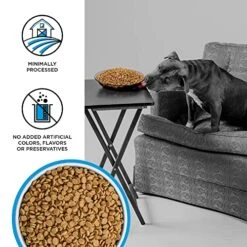 BIXBI Liberty Grain Free Dry Dog Food, Fisherman's Catch, 4 Lbs - Fresh Fish, No Fish Meal - Gently Steamed & Cooked - No Soy, Corn, Rice Or Wheat For Easy Digestion - USA Made -Zoo Shop 510jdSAgR1L