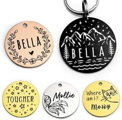 Higgins Sunburst Gourmet Food Mix For Conures -Zoo Shop 510rlfOs5UL. AC