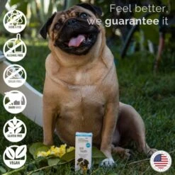 Siddha Remedies Oral Health For Pets | Cat Dog Oral Care For Toothache Decay | Breath Spray For Bad Breath, Healthy Gums Dogs Tooth Care | 100% Natural Homeopathic Remedy Cell Salts Flower Essences -Zoo Shop 5113sTn728L
