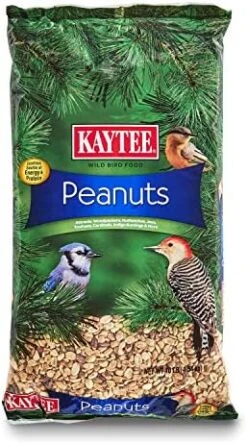 Kaytee Shelled Peanuts For Woodpeckers, Nuthatches, Jays, Towhees, Cardinals, Indigo Buntings & Other Wild Birds, 5 Pound -Zoo Shop 511HYSWGpiL. AC