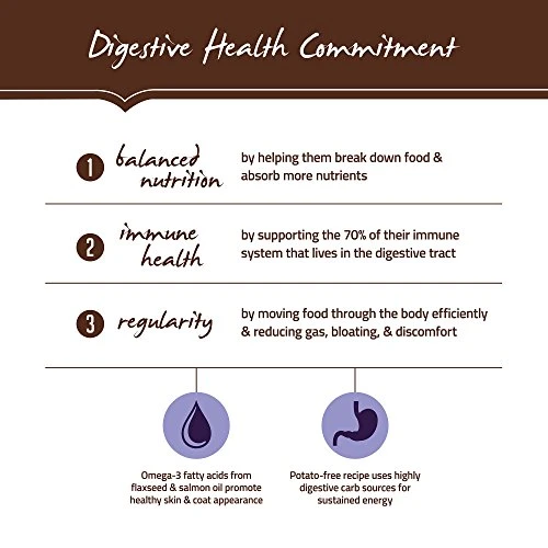 Holistic Select Natural Dry Dog Food, Chicken Meal & Rice Recipe, 30-Pound Bag 5 Holistic Select Natural Dry Dog Food, Chicken Meal & Rice Recipe, 30-Pound Bag - Image 3