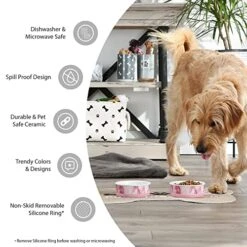 Bone Dry Ceramic Pet Silhouette Collection, Small Set, 4.25x2, Navy, Cat's Meow, 2 Piece (Pack Of 2) -Zoo Shop 511JN4RLl5L