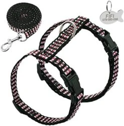 Kuntrona Nylon Cat Harness And Leash Set Customized Cats Kitten Harnesses With Id Tag Anti Lost Name Tag Blue S -Zoo Shop 511R9j37LQL. AC