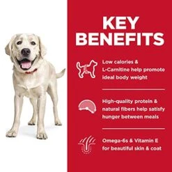 Hill's Science Diet Dry Dog Food, Adult, Large Breed, Light, Chicken Meal & Barley Recipe For Healthy Weight & Weight Management, White, 30 Pound (Pack Of 1) -Zoo Shop 511cQ0EzoSL