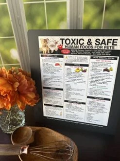 TLC Safety By Design Premium 8.5” X 11” Magnet Toxic Harmful And Safe Foods For Pets Fridge Safety Dogs Cats Poison Emergency Large Format Veterinarian Approved (Quantity 1) -Zoo Shop 511xk6hwwXL