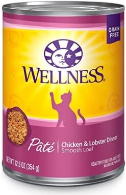 Wellness Complete Health Seafood Pate Favorites Variety Pack, 3 Ounces (Pack Of 24) -Zoo Shop 511yZmFQ5L. AC