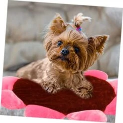 CRILSTYLEO Pet Mat Small Pet Bed Plush Cat Mat Kitten Mat Pad Washable Dog Beds Cat Mat For Food Thick Mattress Topper Full Pet Nest Cushion Dog Sleeping Cushion Household Pet Bed Brown Puppy -Zoo Shop 5127eyzZQBL