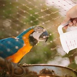 Balacoo Graduation Kettle 4 Pcs Cup Grip Pet Cooking Use Birds Bird Scoop Cats Tool Dogs Baking Milk Feeder Cups And Bpa For Feeding Free Home Food Parrot Spout Handle Measuring Clear -Zoo Shop 512Ea3IZ5sL