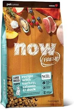 Now Fresh Grain Free Small Breed Dog Food, 3.5 Lb - Dry Puppy Food Recipe - Healthy Diet With Probiotics & Real Meat And Fish For Protein 24 Now Fresh Grain Free Small Breed Dog Food, 3.5 Lb - Dry Puppy Food Recipe - Healthy Diet With Probiotics & Real Meat And Fish For Protein -Zoo Shop 512SU58zdNL. AC