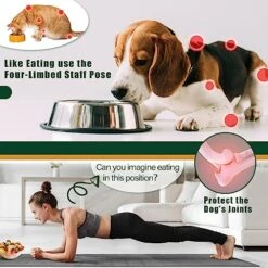 Supet Elevated Small Dog Bowl & Slow Feeder Bowl For Puppy Or Cat, 3-in-1 Adjustable & Removable Food And Water Bowls With Stand & 2 Stainless Steel Dog Food Bowls Set, Whisker Friendly Dish -Zoo Shop 512URRvUcYL