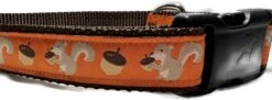 Autumn Dog Collar, Caninedesign, Fall, 1 Inch Wide, Adjustable, Nylon, Medium And Large (Fox, Large 15-22") -Zoo Shop 512aHCBQpBL. AC