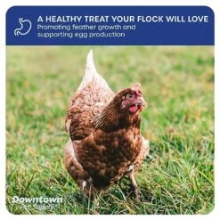 Downtown Pet Supply 2 LB Dried Mealworms For Wild Birds, Poultry, Reptiles, And Small Mammals Rich In Vitamin B12, B5, Protein, Fiber, Omega 3 Fatty Acids - Great As Mealworms For Chicken -Zoo Shop 512sn190JnL