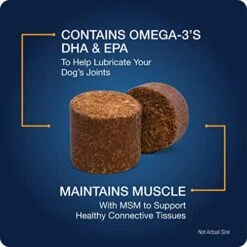 VetIQ Hip & Joint Supplement For Dogs, Anti Inflammatory Joint Support, Glucosamine, MSM, And Krill, Chicken Flavored Soft Chews, 180 Count -Zoo Shop 5130vxLkzwL