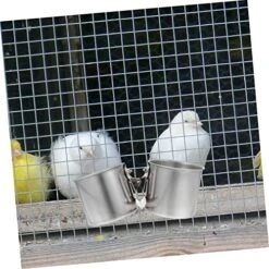 EVANEM 2pcs Feeder Tray Bird Feeder Outdoor Bird Feeder Toy Parrot Hamster Feeding Cups Ferret Water Bottle Water Bird Cup Parrot Feeder Birds Food Cup Pet Parrot Feeder To Feed Xuan Feng -Zoo Shop 513F1FaejsL