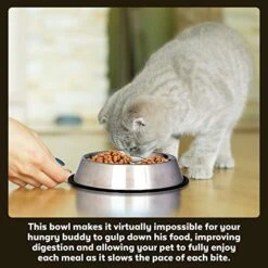 Iconic Pet Set Of 2 Stainless Steel Anti-Skid Slow Feed Pet Bowl For Dogs, Small, 12 Oz, Black 12 Iconic Pet Set Of 2 Stainless Steel Anti-Skid Slow Feed Pet Bowl For Dogs, Small, 12 Oz, Black -Zoo Shop 513LdGn0p3L