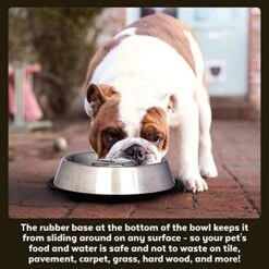 Iconic Pet Set Of 2 Stainless Steel Anti-Skid Slow Feed Pet Bowl For Dogs, Small, 12 Oz, Black 11 Iconic Pet Set Of 2 Stainless Steel Anti-Skid Slow Feed Pet Bowl For Dogs, Small, 12 Oz, Black -Zoo Shop 513MVNR9FgL