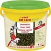 Sera 7025 KOI Color Large 2.2 Lb 3.800 Ml Pet Food, One Size -Zoo Shop 513QxHlRYtL