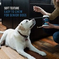 DOGSWELL Hip And Joint Supplement For Dogs - Soft Chews With Glucosamine, Chondroitin, MSM, Boswellia & Turmeric, 1 Pound -Zoo Shop 513Uxdc4QjS