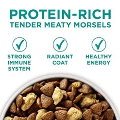 Purina One Plus Digestive Health Formula Dry Dog Food Natural With Added Vitamins, Minerals And Nutrients - 16.5 Lb. Bag 16 Purina One Plus Digestive Health Formula Dry Dog Food Natural With Added Vitamins, Minerals And Nutrients - 16.5 Lb. Bag -Zoo Shop 513XlUISDyL