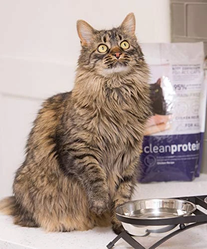 Dr. Elsey's Cleanprotein Grain Free High Protein, Low Carb Dry Cat Food, Chicken, 2lb , Pack Of 1(Packaging May Vary) 3 Dr. Elsey's Cleanprotein Grain Free High Protein, Low Carb Dry Cat Food, Chicken, 2lb , Pack Of 1(Packaging May Vary)