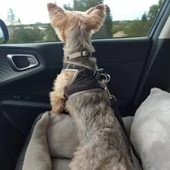 Utotol Dog Car Seats With Dog Seat Belt, Washable Dog Booster Pet Car Seat For Small Dogs, Anti-Slip Dog Travel Car Dog Bed For Car Front Or Back Seat, Adjustable Safety Buckle, Storage Pockets