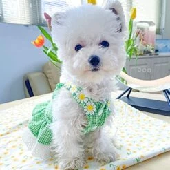 Dog Clothes Plaid Skirt Suitable For Small Dogs Pet Cats Summer Pet Cute Clothing Pet Clothes Dog Skirt Jacket A1 L A1 L -Zoo Shop 5145D4c5wNL