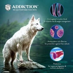 Addiction Homestyle Venison & Cranberry Dinner Raw Alternative Dog Food - Gently Air-Dried Complete Meal Or Dog Food Topper For Digestive And Skin And Coat Health, 2 Lb -Zoo Shop 514AD1UoMnS