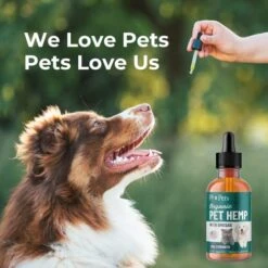 PB Pets Hemp Oil For Dogs And Cats - Organically Grown - Made In USA - Helps With Anxiety, Hip & Joint, Pain, Arthritis, And Stress - With Omega Complex (1-Pack) -Zoo Shop 514Pmq7msKL