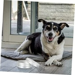 10pcs Tools Vessel Tools Threading Tool Dog Scent Training Kit Dog Scent Work Container Nose Work Dog Training Kit Dogs Scent Training Tool Dog Training Aroma Case Suite -Zoo Shop 514Ql44AJeL