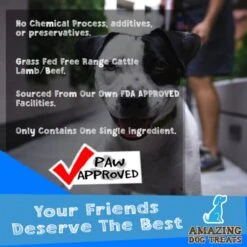 Amazing Dog Treats - Lamb Tripe Sticks For Dogs (10pcs) - Natural Green Tripe Dog Treats - No Hide - Grass Fed Lamb Snacks For Dogs 14 Amazing Dog Treats - Lamb Tripe Sticks For Dogs (10pcs) - Natural Green Tripe Dog Treats - No Hide - Grass Fed Lamb Snacks For Dogs -Zoo Shop 514t46JazoL