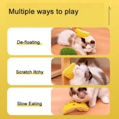 Durian Multifunctional Toys,Durian Cat Scratcher, Durian Shell Cat, Massaging And Removing Floating Hair Cat Dog Toys (2 Pcs) -Zoo Shop 514w5gWjn0L