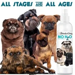 The Blissful Dog No H2O Waterless Pet Shampoo, 16 Oz. -Zoo Shop 515fCtAkMTL