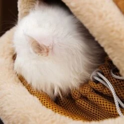 Cat Carrier Pet Backpack Winter Travel Bag For Cat Dog Portable Cage Dog Carrying Bag Pet Bag Cat Dog Pet Carrier (Color : Medium) -Zoo Shop 515jDDstLFL