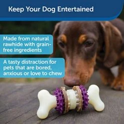 PetSafe Treat Rings - 16 Rings - Size B - Original & Busy Buddy Bristle Bone - Treat-Holding Toy For Dogs - Purple, Large -Zoo Shop 515jGR4ojiL