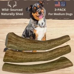 WhiteTail Naturals | 3 Pack Medium | Deer Antler Dog Chews | All Natural Organic Antlers For Dogs | Long Lasting Antler Bones For Dogs | Durable Antler Dog Toy