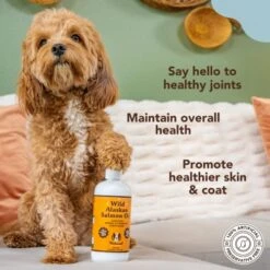 Natural Dog Company Itchy Dog Shampoo (12 Oz) Bundle With Wild Alaskan Salmon Oil (16 Oz) | Hypoallergenic Shampoo And Sensitive Skin Supplement | Soothing Relief For Recurring Skin Conditions -Zoo Shop 515vJCDZhUL