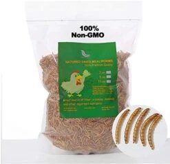WORKPOINT 22LBS Dried Mealworms For Chickens, 100% Natural Premium Quality Non-GMO, Treats For Poultry, Chickens, Ducks And Geese -Zoo Shop 516 0Yy4EQL. AC 1