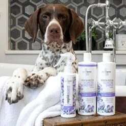 Isle Of Dogs Keratin Volume Sulfate Free Shampoo, 16 Ounce, Multicolor, 820-16 -Zoo Shop 5163wXkyDML