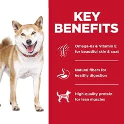 Hill's Science Diet Adult No Corn, Wheat Or Soy Dry Dog Food, Chicken Recipe, 4 Lb. Bag 15 Hill's Science Diet Adult No Corn, Wheat Or Soy Dry Dog Food, Chicken Recipe, 4 Lb. Bag -Zoo Shop 5168z8UpZRL