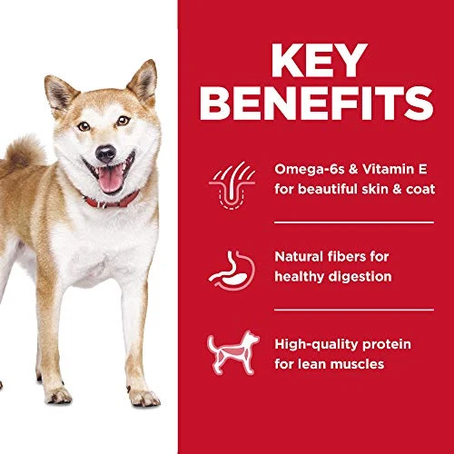 Hill's Science Diet Adult No Corn, Wheat Or Soy Dry Dog Food, Chicken Recipe, 4 Lb. Bag 7 Hill's Science Diet Adult No Corn, Wheat Or Soy Dry Dog Food, Chicken Recipe, 4 Lb. Bag - Image 5