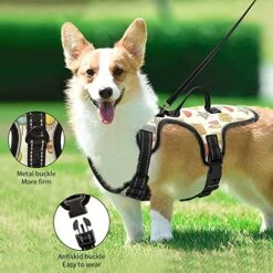 Flradish Summer Food Adjustable Pet Carrier With Handle Cat Carrier And Leash Anti-Escape Suitable For Outdoor Walking -Zoo Shop 516HTxsr6SL
