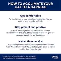 Petco Brand - Good2Go Pink Kitten Harness And Lead Set, X-Small -Zoo Shop 516RtHiLQbL